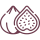 cropped-fig-fav.png